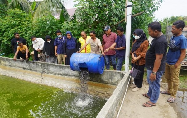 Dukung Program Youth Entrepreneur Ship (YES), PT PIM Berdayakan Kelompok Tani Tambak Jasa Rakan untuk Budidaya Ikan Lele di Desa Tambon Baroh